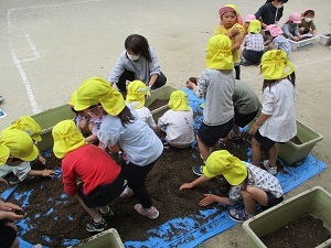 IMG_0006 IMG_0006