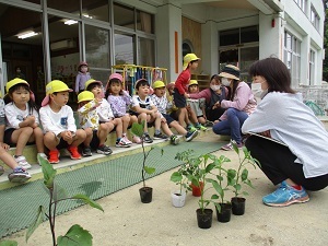 IMG_0010 IMG_0010