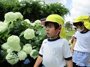 IMG_0663 IMG_0663