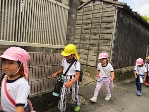 IMG_0650 IMG_0650