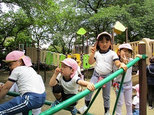 IMG_0711 IMG_0711