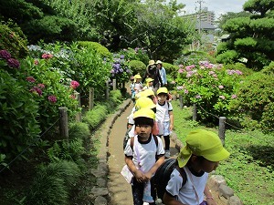 IMG_0677 IMG_0677