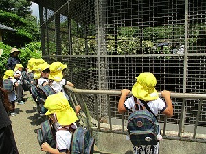 IMG_0683 IMG_0683