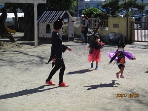 IMG_0774 IMG_0774