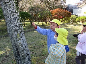 園外保育 園外保育