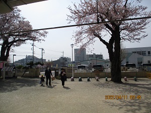 入園式 