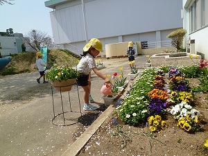 ときわっこ ときわっこ