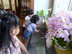 ときわっこ ときわっこ