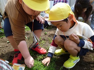 ほし ほし