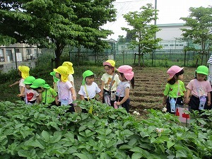小学校へ