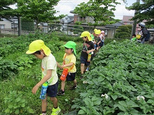 小学校へ 小学校へ