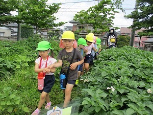 小学校へ 小学校へ