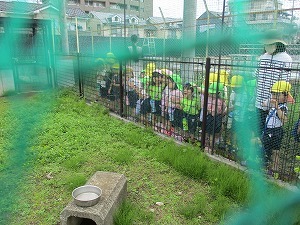 小学校へ 小学校へ