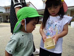 種まき