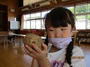 ジャガイモ掘り ジャガイモ掘り