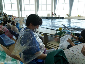 親子遠足 親子遠足