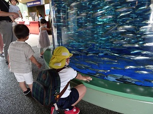 親子遠足 親子遠足