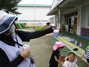 IMG_3116 IMG_3116
