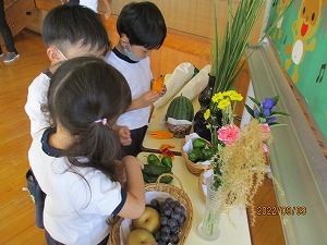 月見会 月見会