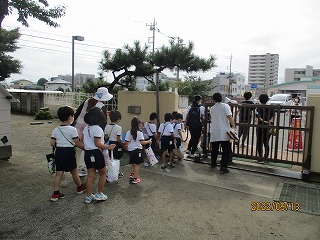 IMG_3351 IMG_3351