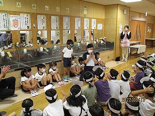 IMG_3408 IMG_3408