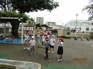 IMG_3662 IMG_3662