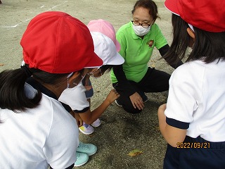 IMG_3677 IMG_3677