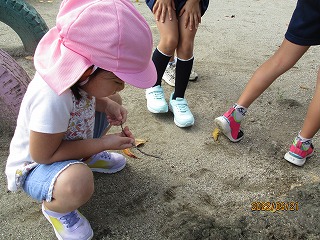 IMG_3678 IMG_3678
