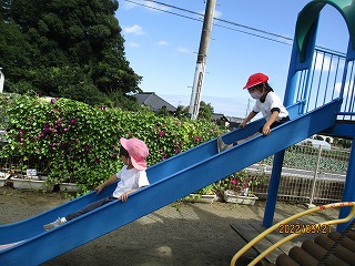 IMG_3684 IMG_3684