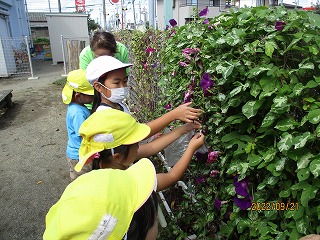 IMG_3685 IMG_3685