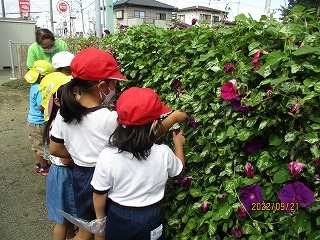 IMG_3686 IMG_3686
