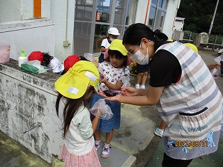 IMG_3688 IMG_3688