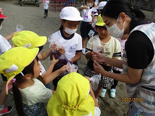 IMG_3689 IMG_3689