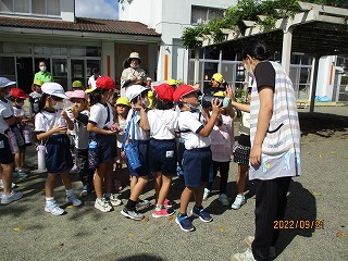 IMG_3696 IMG_3696
