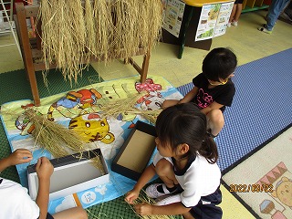 IMG_3701 IMG_3701