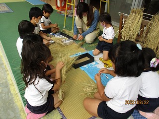IMG_3711 IMG_3711