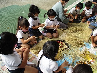 IMG_3723 IMG_3723