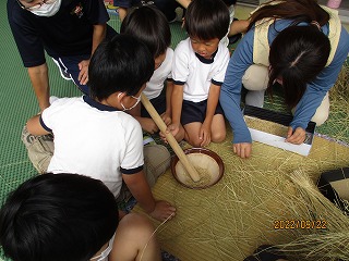 IMG_3720 IMG_3720