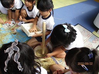IMG_3729 IMG_3729