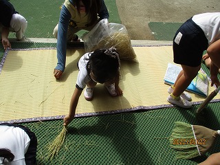 IMG_3740 IMG_3740