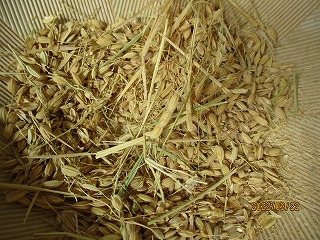 IMG_3755 IMG_3755