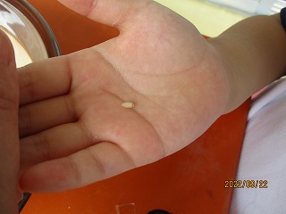 IMG_3756 IMG_3756