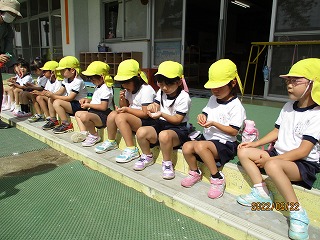 IMG_3771 IMG_3771