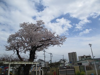 IMG_8331 IMG_8331