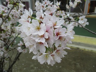IMG_8320 IMG_8320