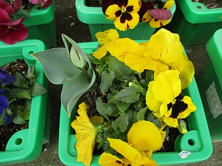 IMG_8325 IMG_8325