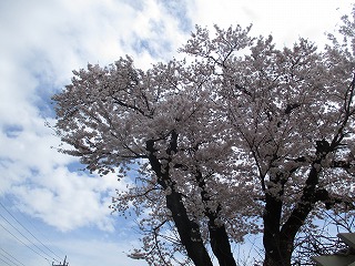 IMG_8329 IMG_8329
