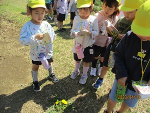 散歩 (15)