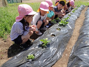 散歩 (10) 散歩 (10)