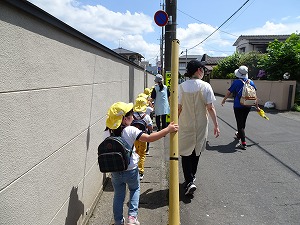 保和苑 (3) 保和苑 (3)